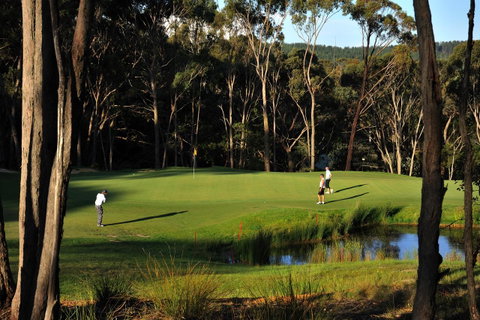 RACV Goldfields Resort - 2032 Olympic Games 12