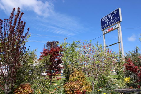 Top Of The Town Motel - 2032 Olympic Games 1