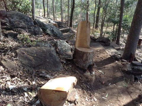 Twilight Grove Farm - 2032 Olympic Games 3