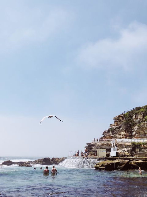 Walk To Beach From This Stylish Bronte Oasis W AC, Wifi And Free Parking - 2032 Olympic Games 3