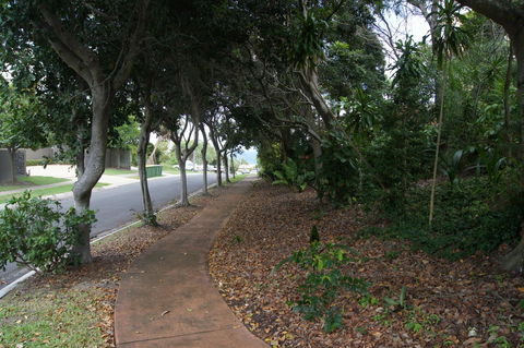 Parkshores Sunshine Beach Noosa Holiday Apartments - 2032 Olympic Games 24