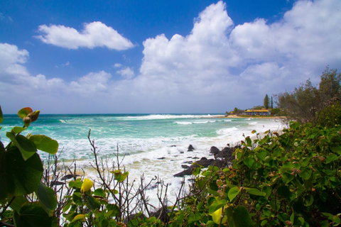 Rainbow Bay Backpackers - 2032 Olympic Games 0