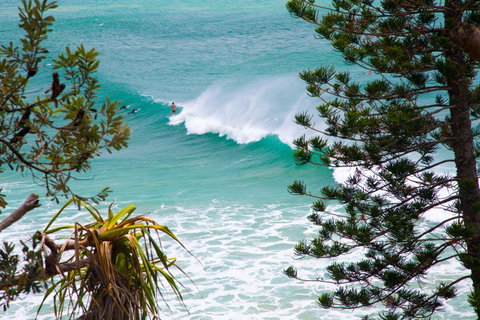 Rainbow Bay Backpackers - 2032 Olympic Games 15