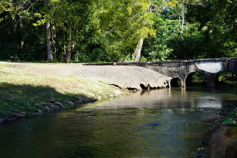 McCarthy Grove Maleny - 2032 Olympic Games 1