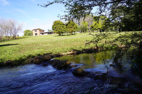 McCarthy Grove Maleny - 2032 Olympic Games 5
