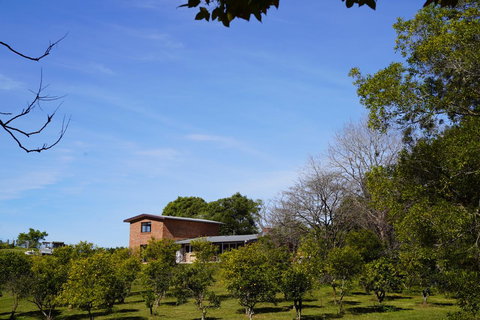 McCarthy Grove Maleny - 2032 Olympic Games 4