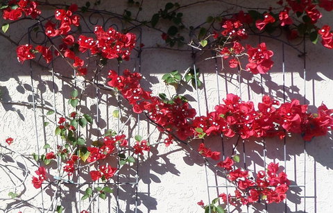 Gaia On Bribie Island - 2032 Olympic Games 35