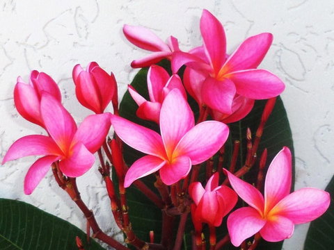 Gaia On Bribie Island - 2032 Olympic Games 31