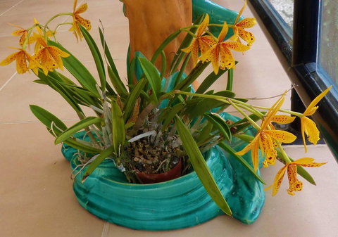 Gaia On Bribie Island - 2032 Olympic Games 44