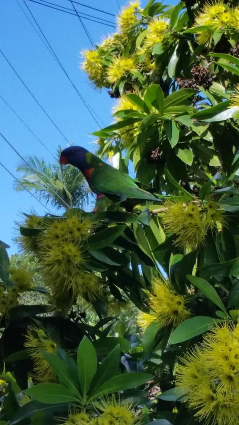 VILY Place - 2032 Olympic Games 14