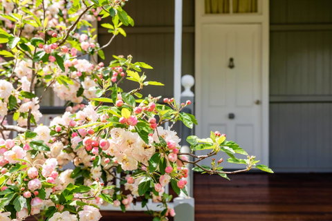 Apple Blossom Cottages - 2032 Olympic Games 2