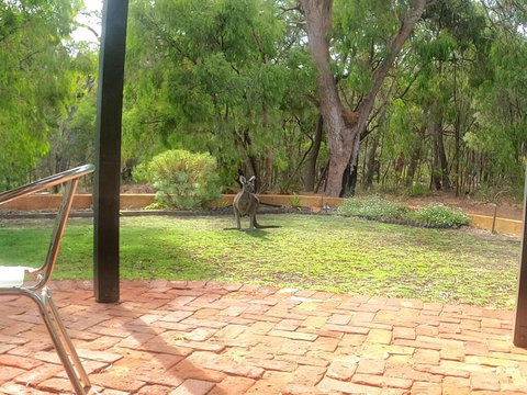 Yallingup Pet Friendly Bush Retreat - 2032 Olympic Games 3