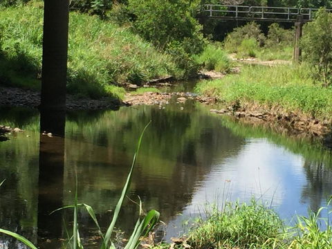 Yandina Caravan Park - 2032 Olympic Games 2
