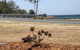 Bribie Waterways Motel - thumb 18