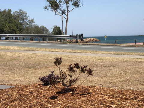 Bribie Waterways Motel - 2032 Olympic Games 18