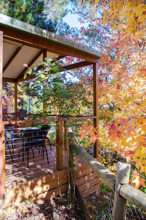 BIG4 Tasman Holiday Parks - Bright - 2032 Olympic Games 1