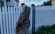 BIG4 Kelso Sands Holiday & Native Wildlife Park - thumb 2