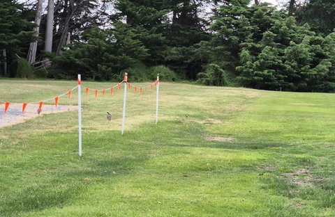 BIG4 Kelso Sands Holiday & Native Wildlife Park - 2032 Olympic Games 1