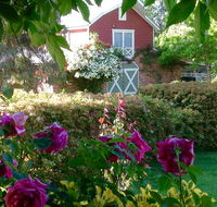 A Country Barn Retreat - 2032 Olympic Games