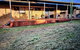 Duncannon - Durack Large Family Home Pets - thumb 0