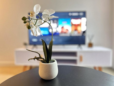 Elegant 1br1ba Apt In High Level Wifibalcony - 2032 Olympic Games 3