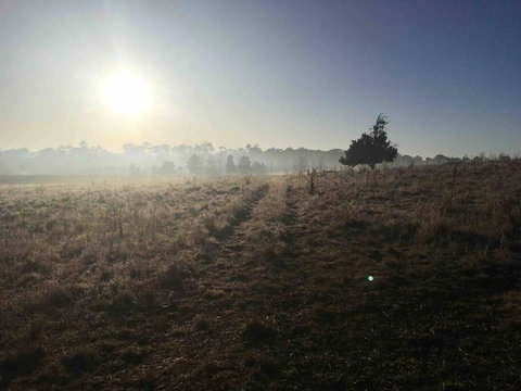 Garden-nestled Granny Flat Between Winery And Town - 2032 Olympic Games 1