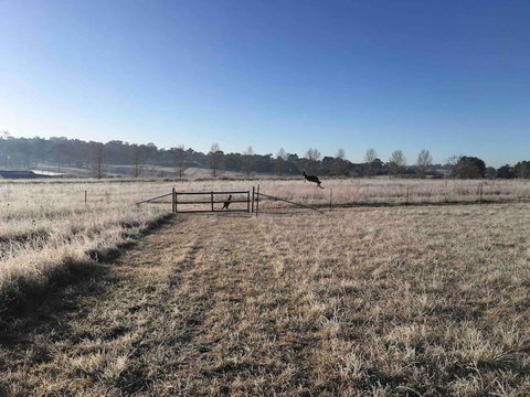 Garden-nestled Granny Flat Between Winery And Town - 2032 Olympic Games 2