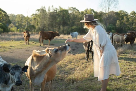 Golden Hill Farmstay By Tiny Away - 2032 Olympic Games 4