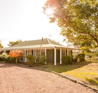 Among the Vines - 2032 Olympic Games