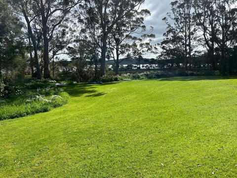 Peacock - 2032 Olympic Games 0