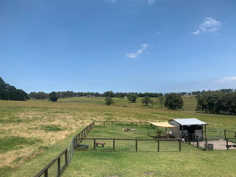 Platform One - 2032 Olympic Games 3