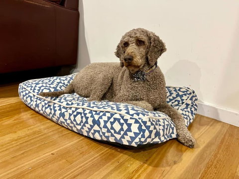 Relax And Reconnect At MaluaBay - 2032 Olympic Games 1