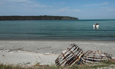 Rock Lobster - 2032 Olympic Games 2