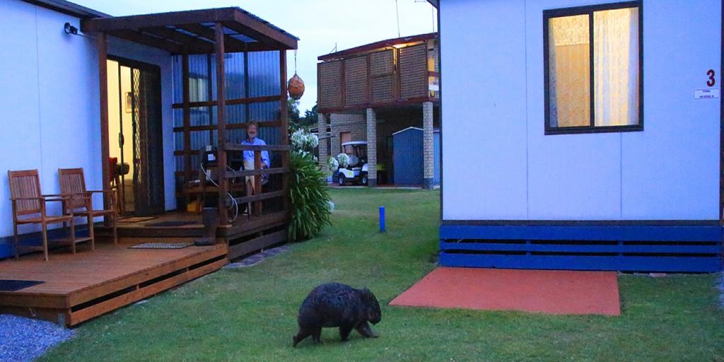 Kelso TAS 2032 Olympic Games