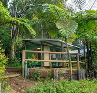 Binna Burra Rainforest Campsite - 2032 Olympic Games