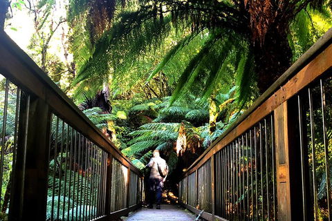 Small-Group Great Ocean Road And Twelve Apostles Full-Day Tour - 2032 Olympic Games 1