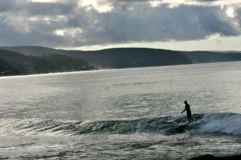 Small-Group Great Ocean Road And Twelve Apostles Full-Day Tour - 2032 Olympic Games 5