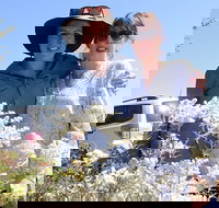 Spring Wildflower Private Day Tours - 2032 Olympic Games