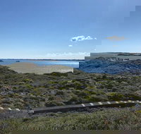 Penguin Island And Fremantle - Canoe Chocolate  Coffee - 2032 Olympic Games