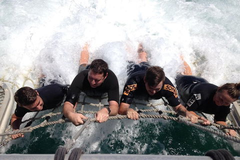 Cruise In Moreton Bay Marine Park And Moreton Island - 2032 Olympic Games 0