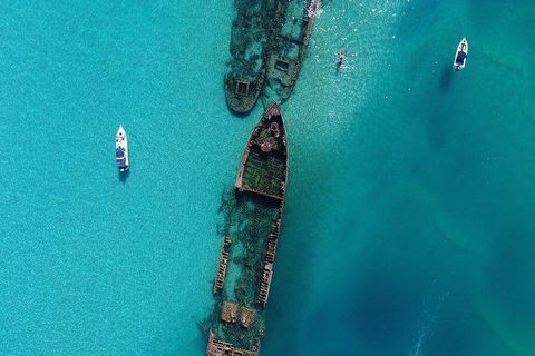 Cruise In Moreton Bay Marine Park And Moreton Island - 2032 Olympic Games 1