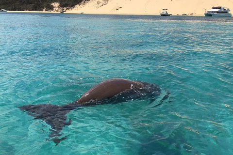 Cruise In Moreton Bay Marine Park And Moreton Island - 2032 Olympic Games 2