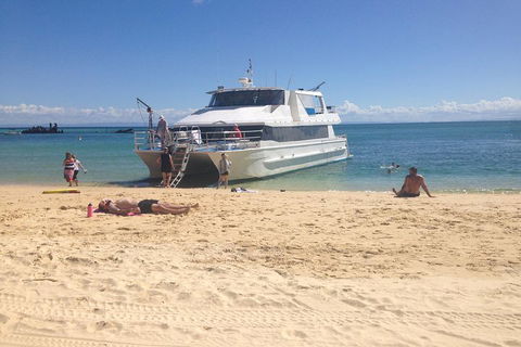 Cruise In Moreton Bay Marine Park And Moreton Island - 2032 Olympic Games 4