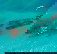 Private Tangalooma Wrecks Tour - 2032 Olympic Games