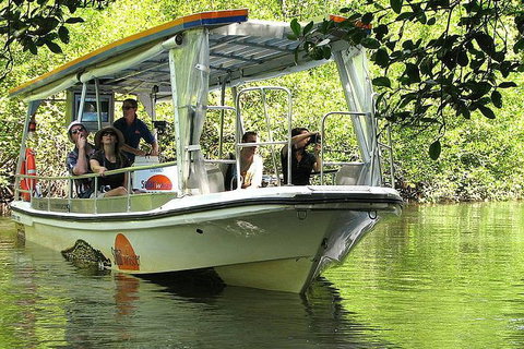 5-Day Best Of Cairns With Daintree, Kuranda, And Great Barrier Reef - 2032 Olympic Games 1