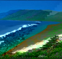Cairns Reef and Rainforest Combo Daintree Rainforest and the Great Barrier Reef - 2032 Olympic Games
