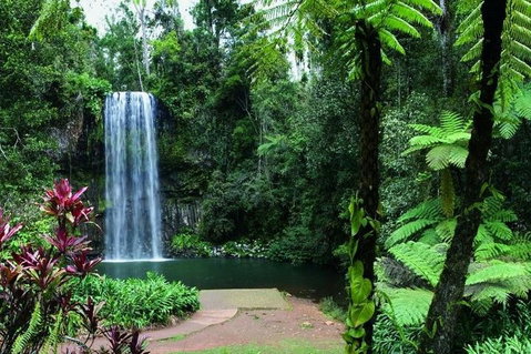 Paronella Park And Millaa Millaa Falls Full-day Tour From Cairns - 2032 Olympic Games 3