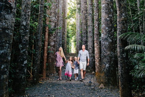 Paronella Park And Millaa Millaa Falls Full-day Tour From Cairns - 2032 Olympic Games 5