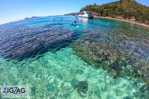 Whitehaven Beach Day Tour With Snorkel In Whitsundays Island - 2032 Olympic Games 5