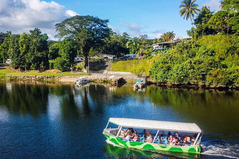 Afternoon Half-Day Daintree Rainforest And River Tour - 2032 Olympic Games 1